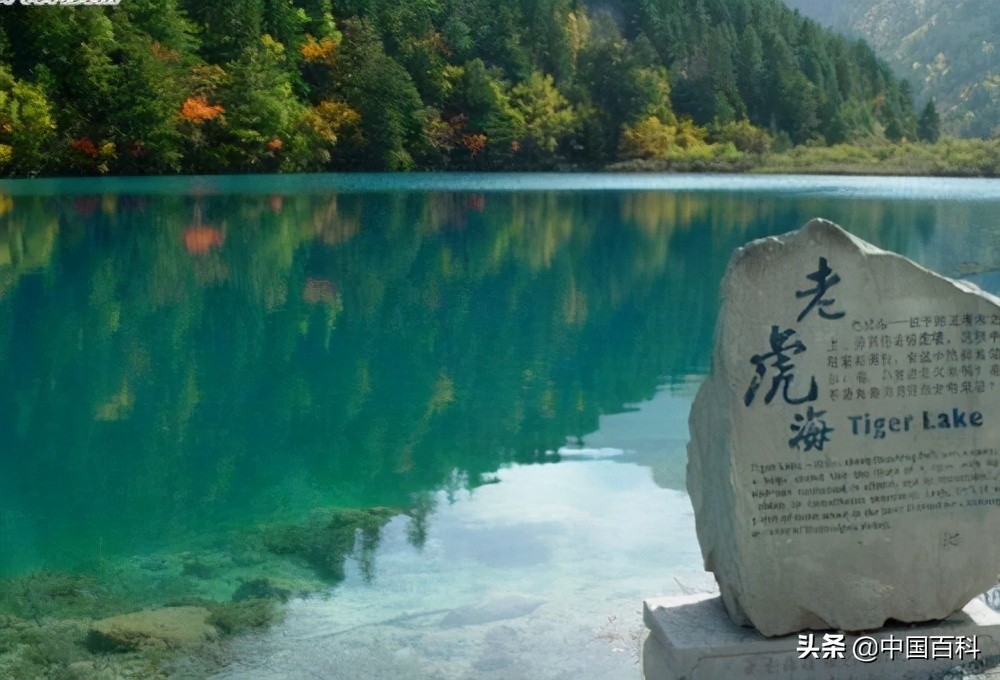 都江堰九寨沟个人游玩攻略,九寨沟全攻略