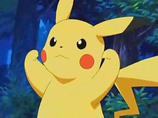 三只萌宠你们喜欢哪只,萌宠大合集你最喜欢哪一只