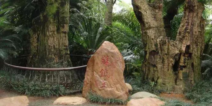 青秀山团建位置,广西团建三日两夜地方推荐