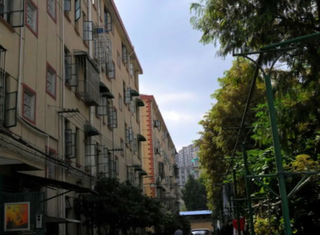 复旦系再添猛将!上海又新建一所九年一贯制!今年就要入户1年了