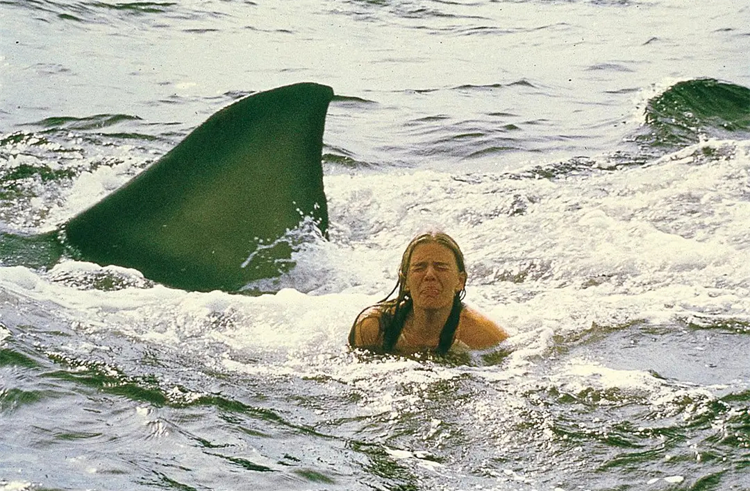 奥斯卡荣获五项大奖的三部电影,奥斯卡得奖最多的三部电影