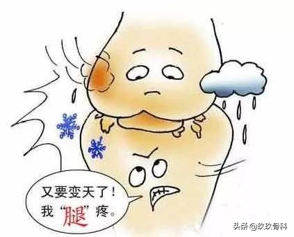 “老寒腿”≠风湿病，医生和你聊聊膝关节炎的日常保养和治疗