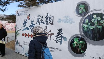 美美美！海淀这个地儿，万株兰花惊艳来袭，你招架的住吗？