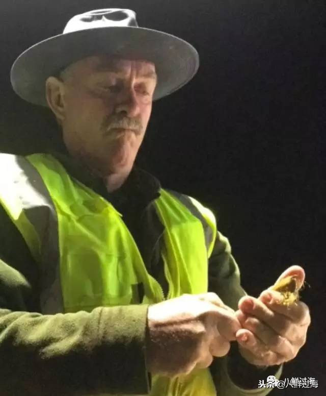 引入活青口贝、鲜帝王鲑,新西兰海产出口商的新生力量!