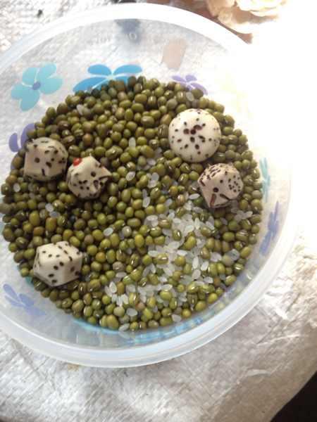 手工抛光千眼菩提,如何利用手电钻打磨千眼菩提