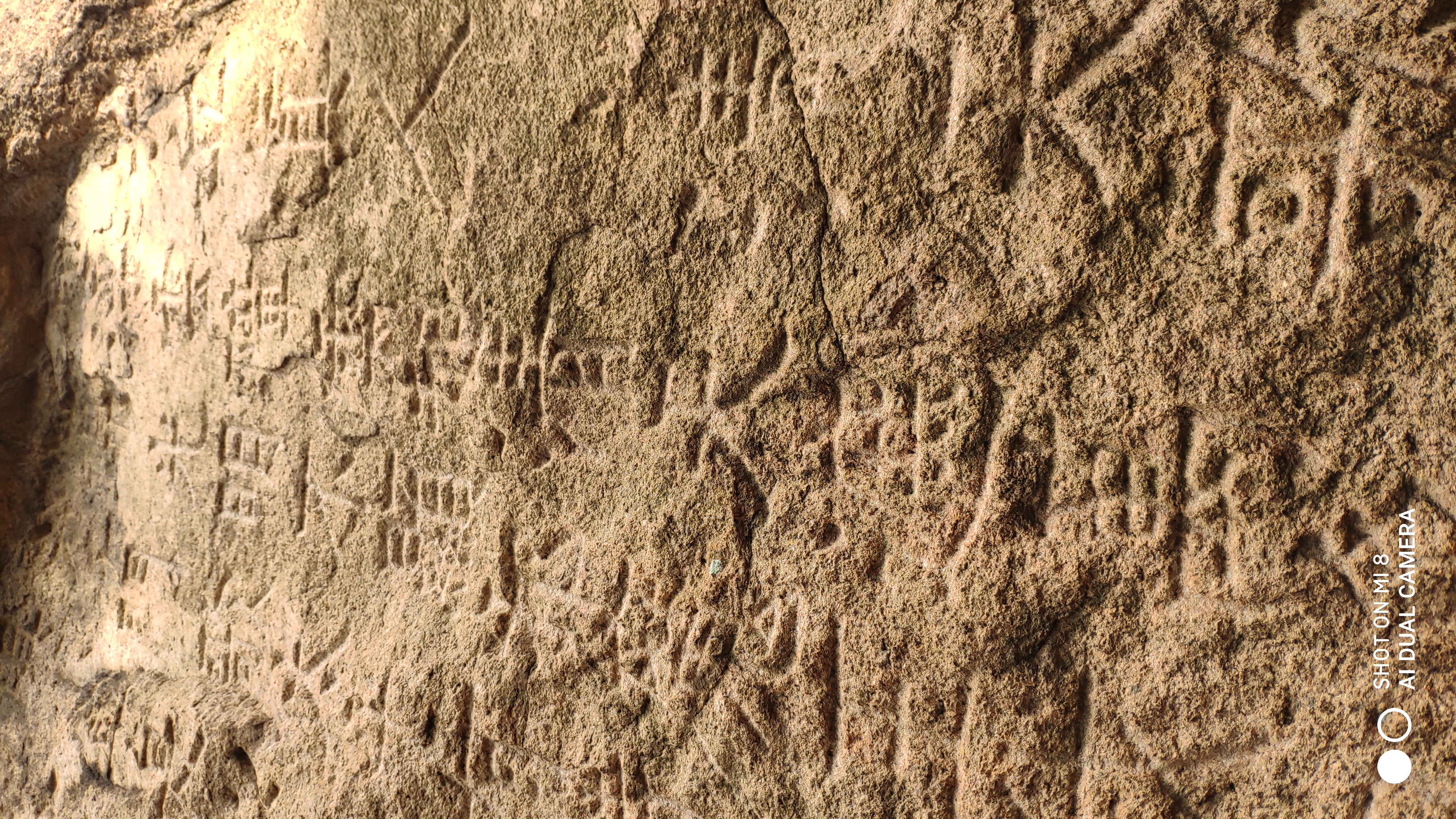 崂山水畔菜蔬鲜，黄石洞中书韵长