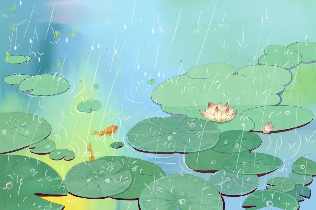 怎样写好读后感书籍,如何写好读后感视频