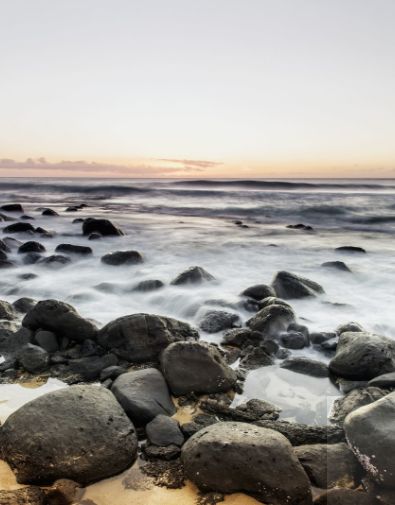 旅游禁止带什么东西,旅游景点不可带回的东西