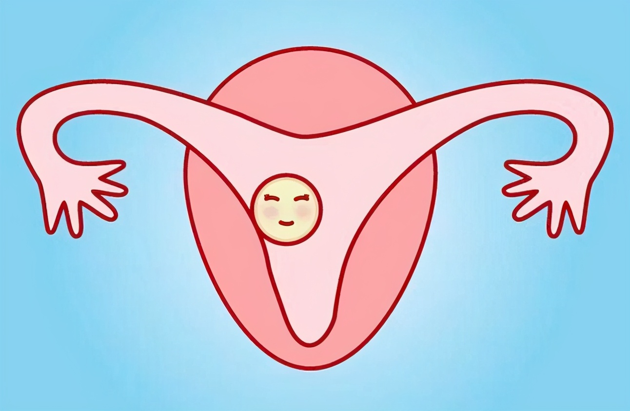 子宫内膜分为几种型,子宫内膜a还是b适合移植