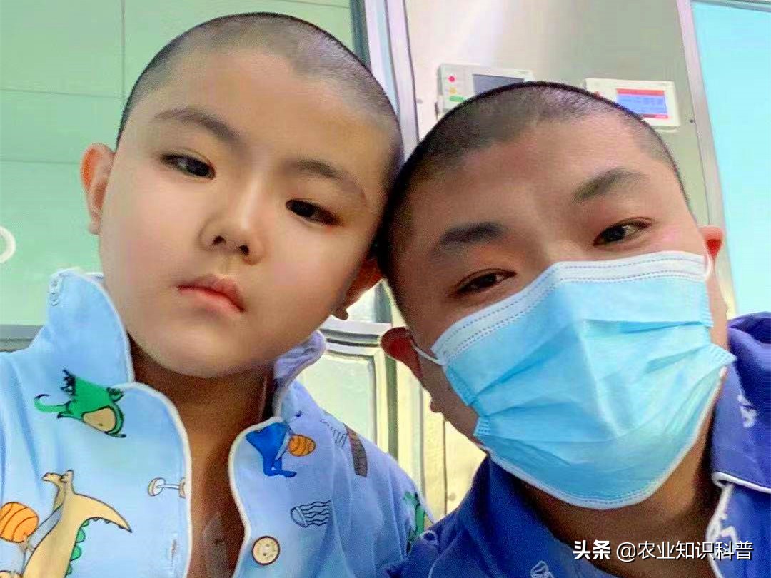 急性肝衰竭救过来的孩子,男子被确诊急性肝衰竭