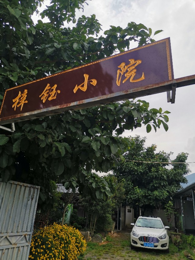 云南香格里拉的优质松茸,云南香格里拉德钦松茸