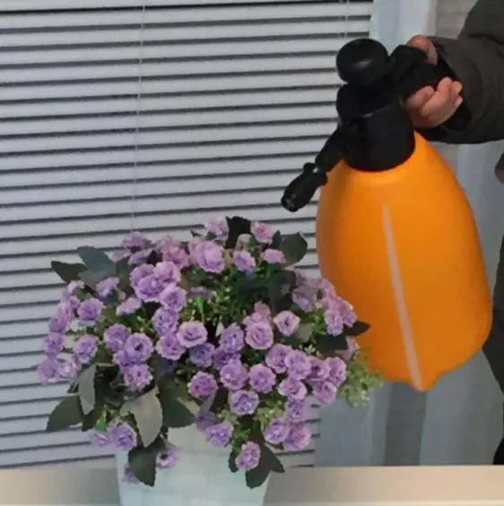 养花烂根黄叶用什么药,养花烂根最常见