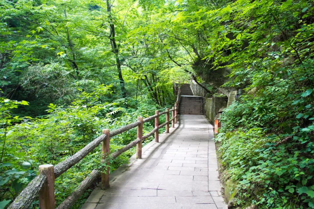 索道9公里,太平山索道80一个来回多久