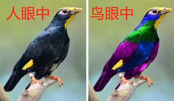 你们男生知道女生的口红色号吗,男人真的分不清口红色号吗