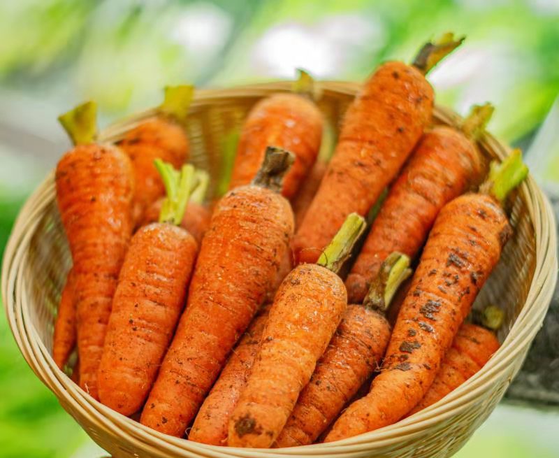 国际公认的原生态食品,原生态的好产品值得购买