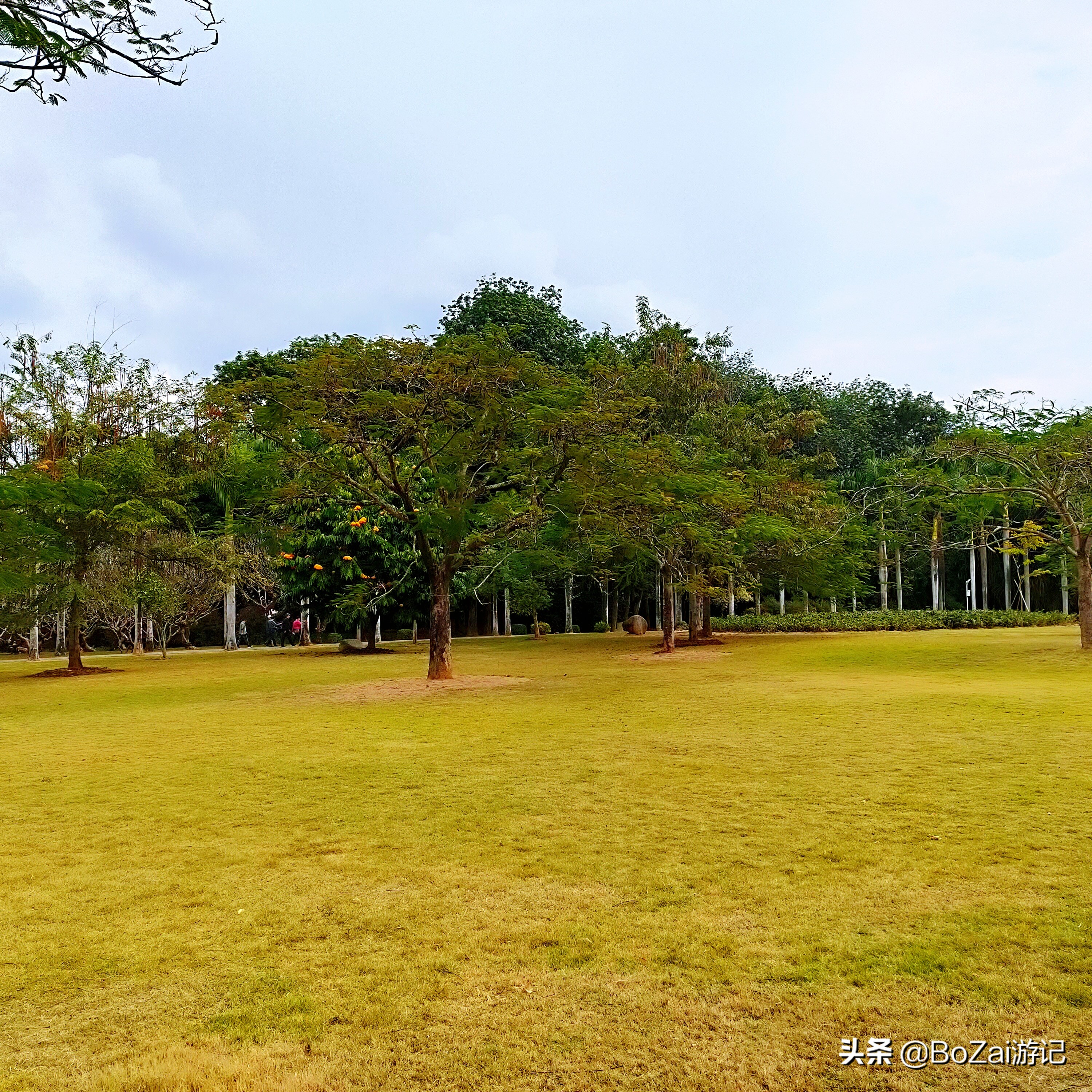 云南西双版纳到文山途经哪些景点,西双版纳适合6-12岁儿童的景点