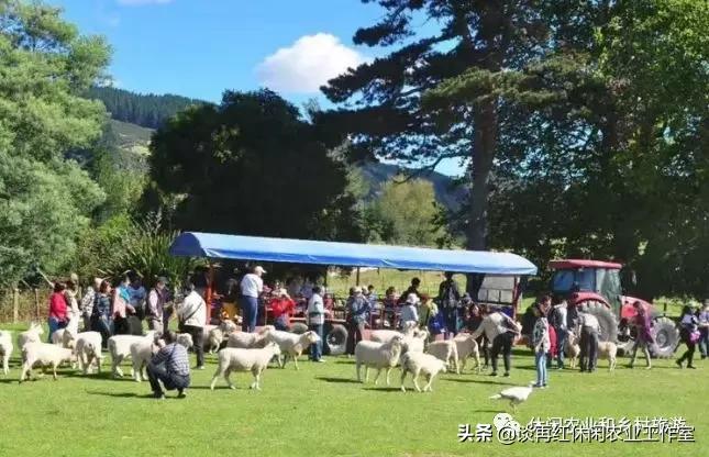 旅居新西兰,旅居新西兰有什么条件
