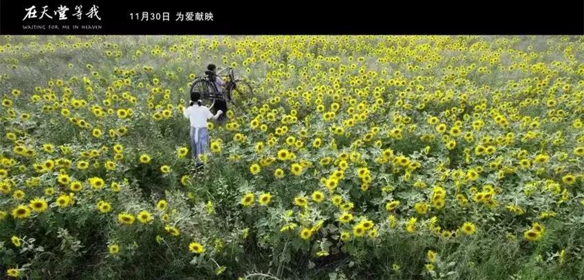 一部直击人心的电影,电影多处引人共鸣的催泪细节