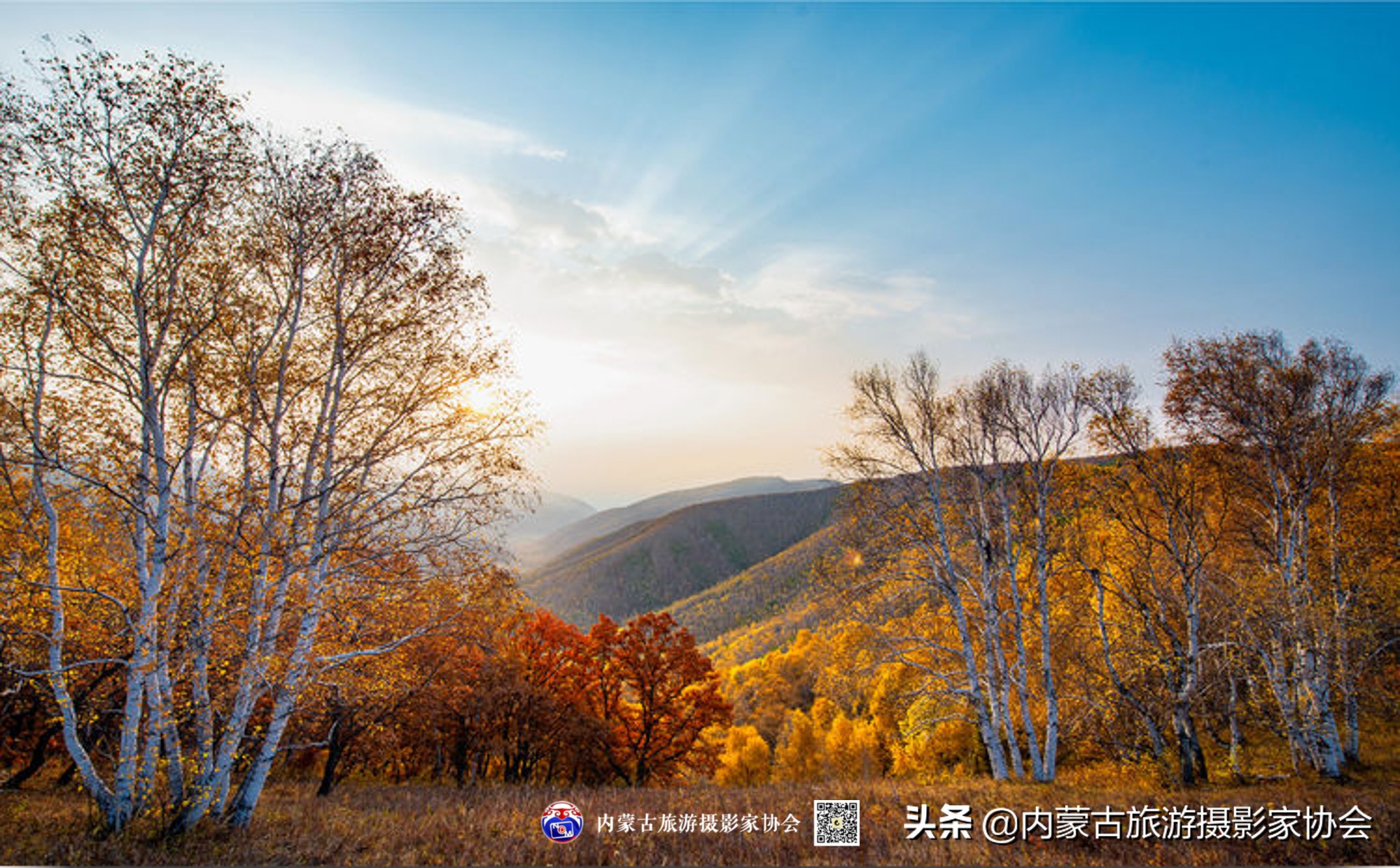 那山那水那滋味,那山那水那份爱