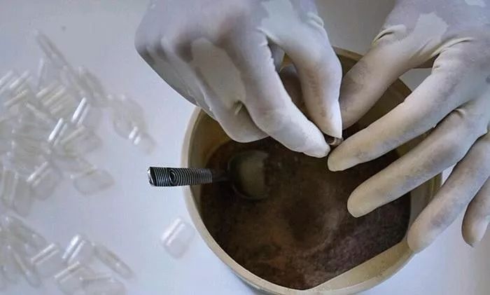 动物胎盘能吃吗,羊的胎盘能吃吗