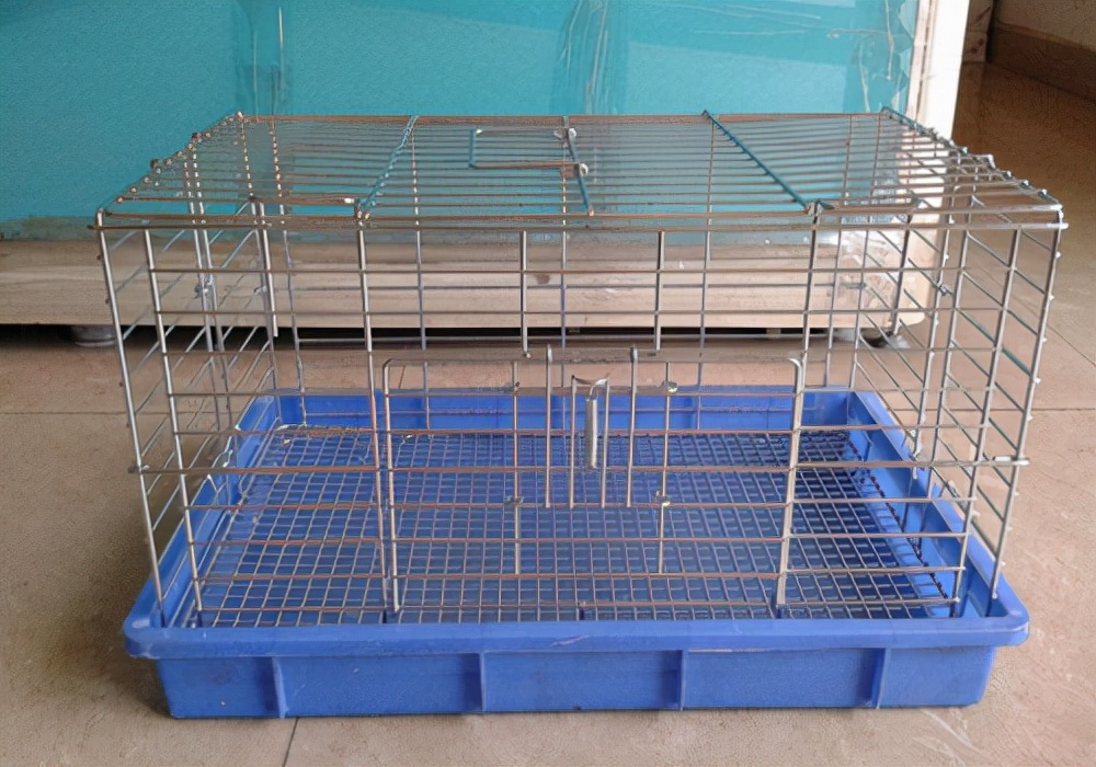 家里小狗有皮肤病怎么办,小狗奶癣怎么治才能除根