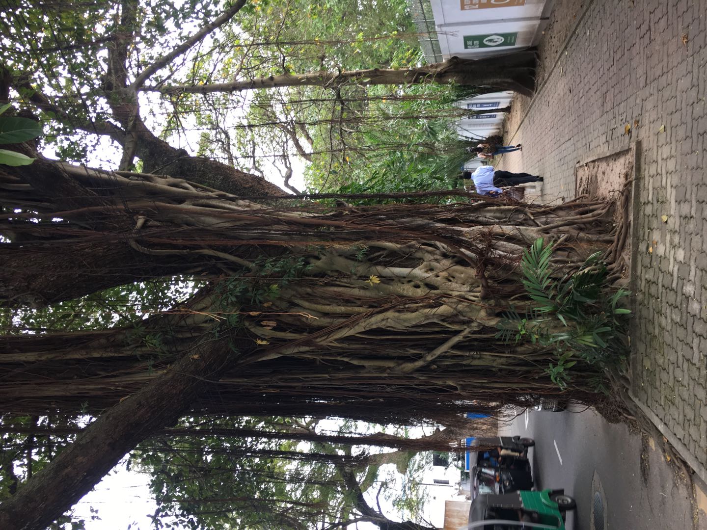 斯里兰卡旅游科伦坡进出,在斯里兰卡科伦坡亲身经历