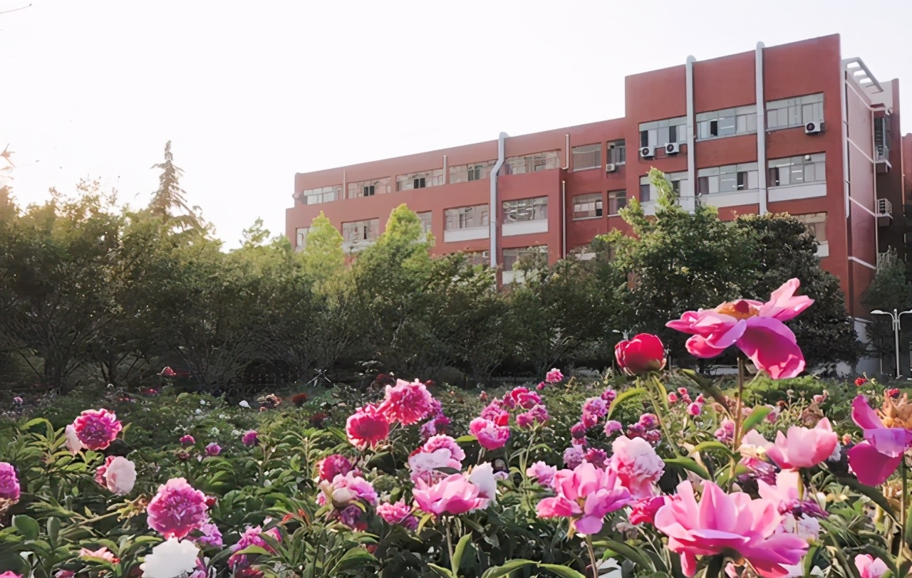 想读计算机专业,山东这所大学很不错!存在感低,但是就业是真好