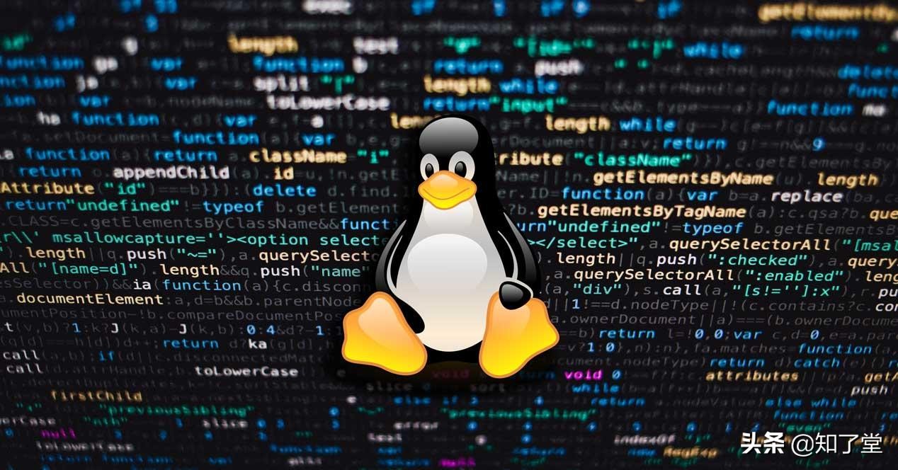 linux磁盘分区详细教程,linux磁盘分区格式化慢