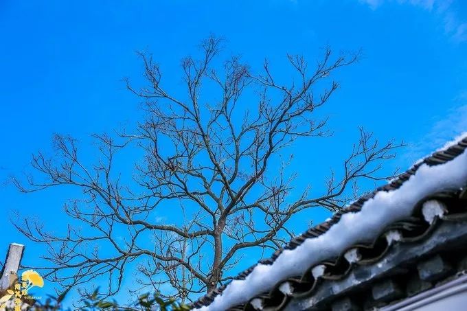 合肥肥东人文古迹,安徽合肥肥东值得一游的地方