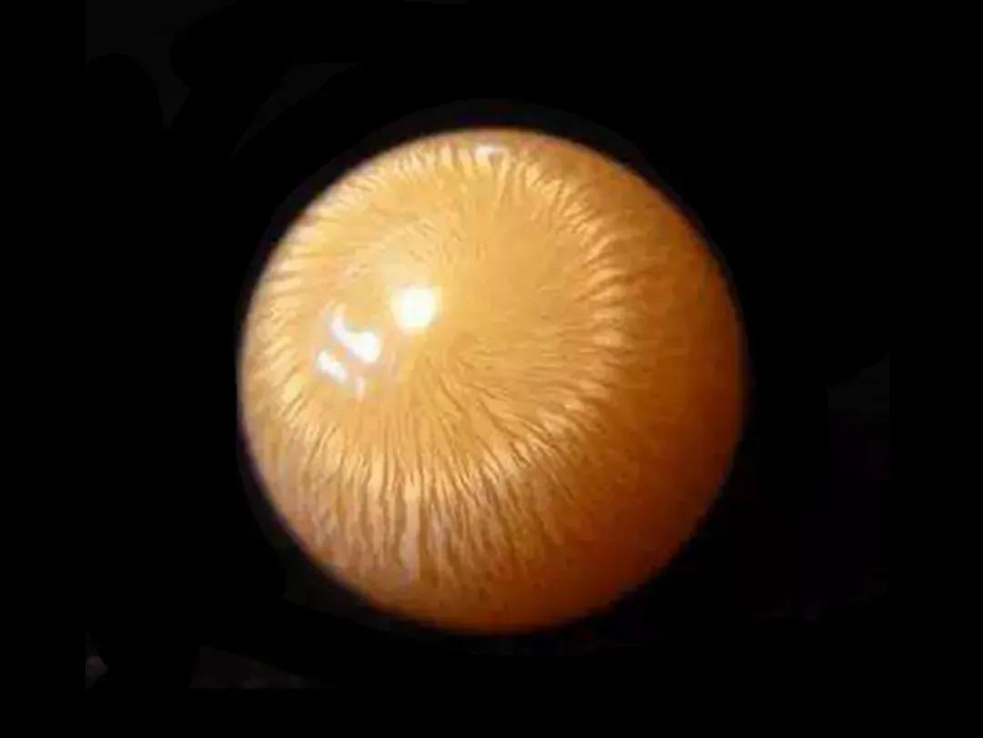 砗磲圆珍珠,贝壳珠和砗磲珠有什么区别