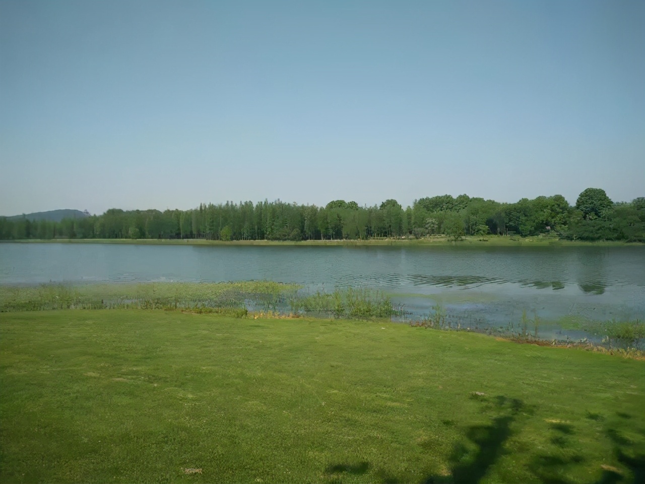 烧脑人物复杂关系,烧脑人物关系