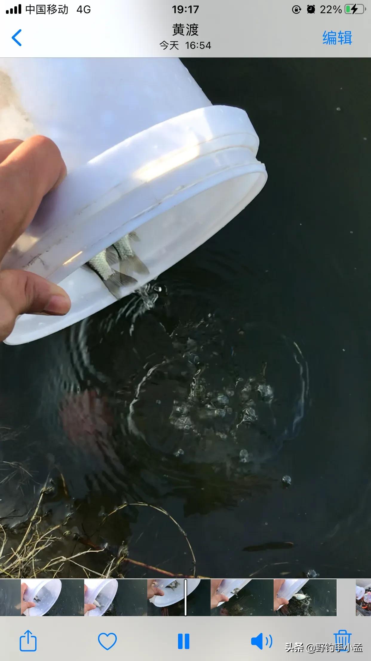 贼喊抓贼，是谁断送了野钓资源？有些钓鱼人要长点心吧