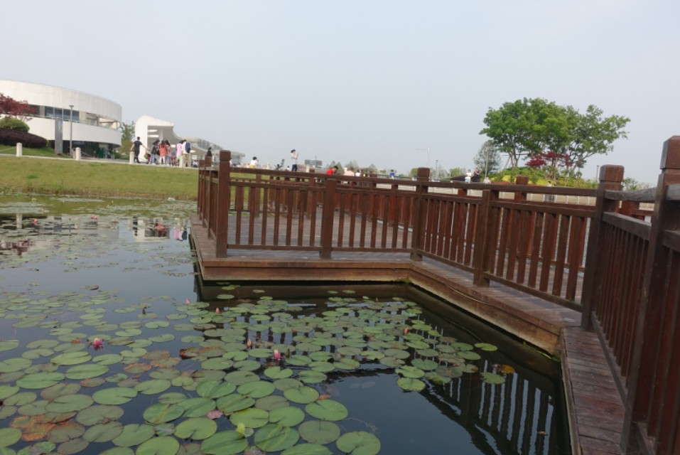 上海奉贤新城的亮点,奉贤南桥镇奉贤新城现状