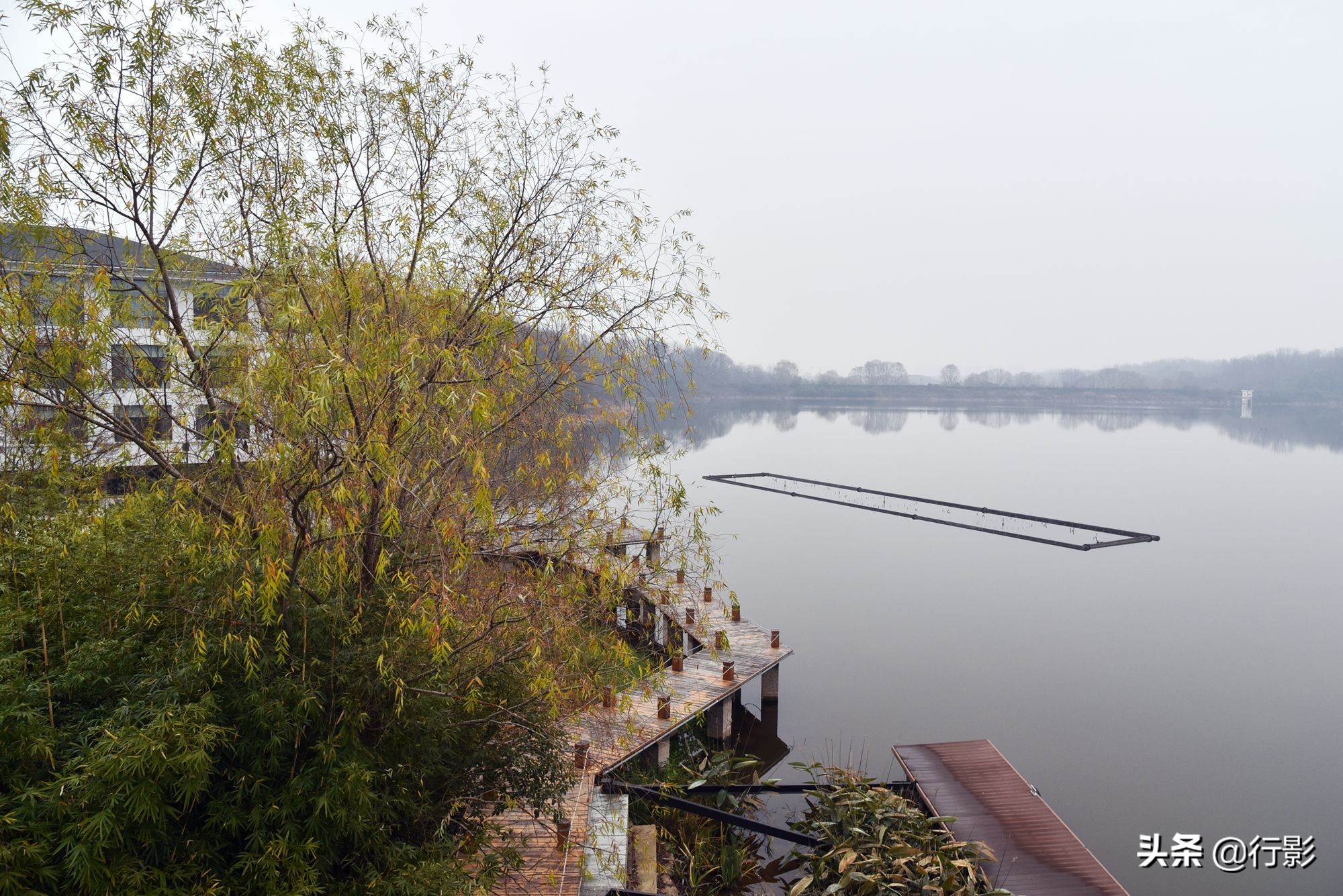 紫金山庄风景,南京紫金山风景区秋韵之美
