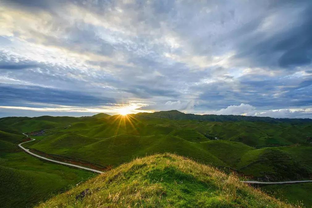 川西彩林自驾风景,川西三大草原绝美自驾游