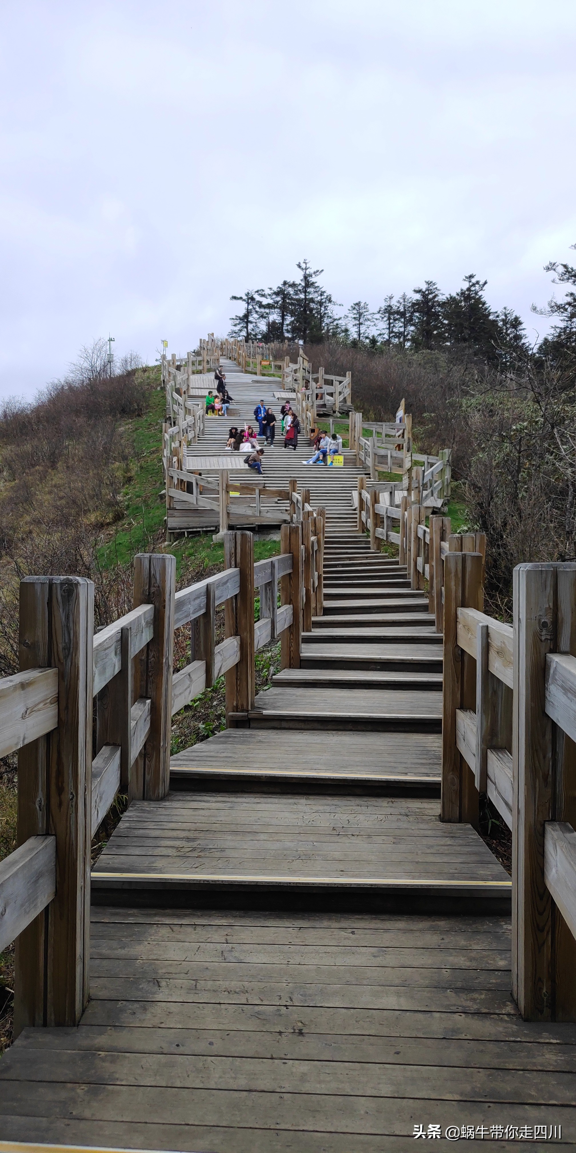 成都去西岭雪山两天一夜旅游团,成都出发雪山旅游
