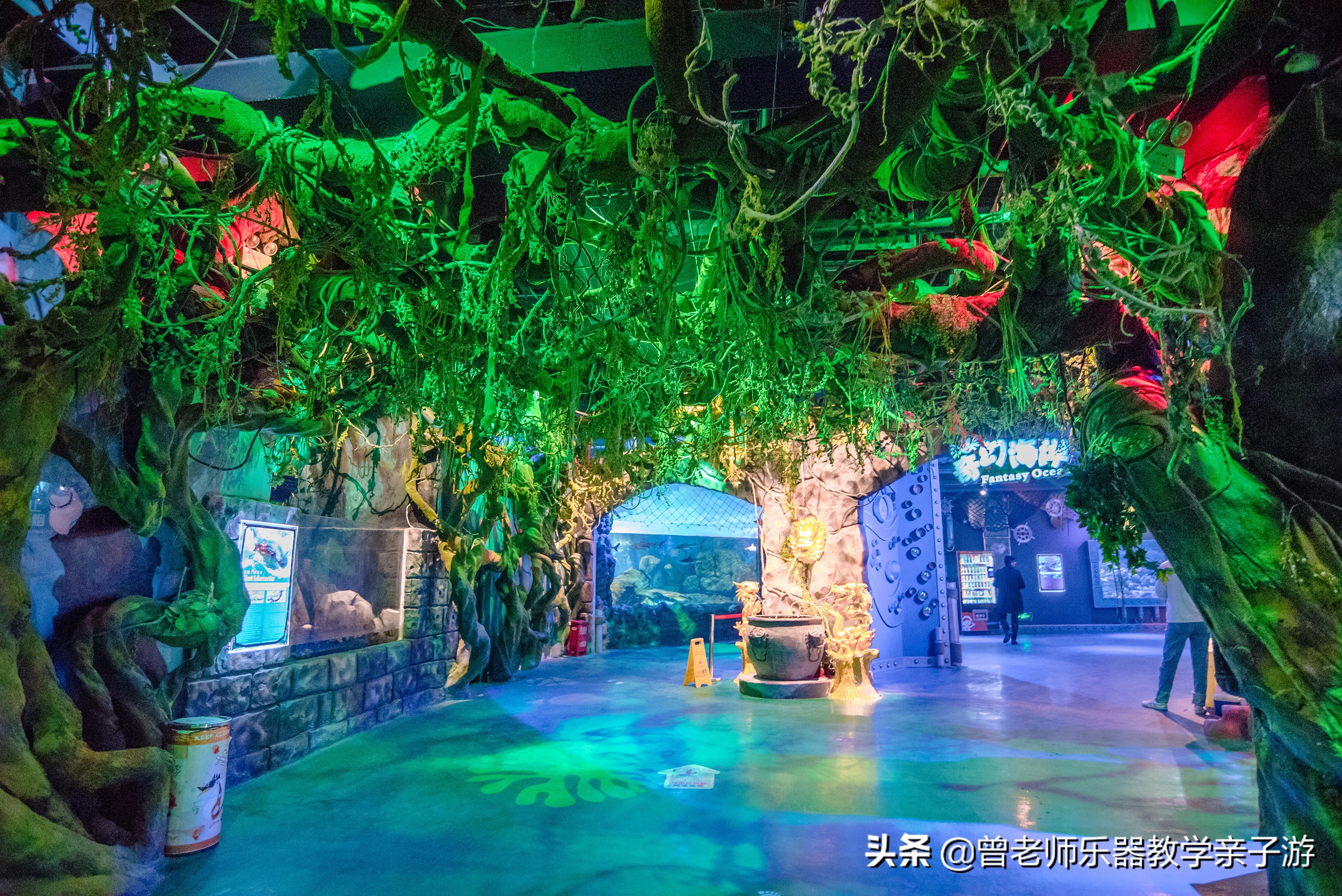 西安太奥海洋馆,西安极地海洋世界海豚表演