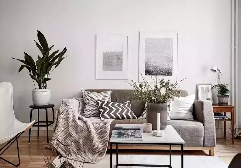 绿色具有代表性的植物,绿色植物好看的有哪些