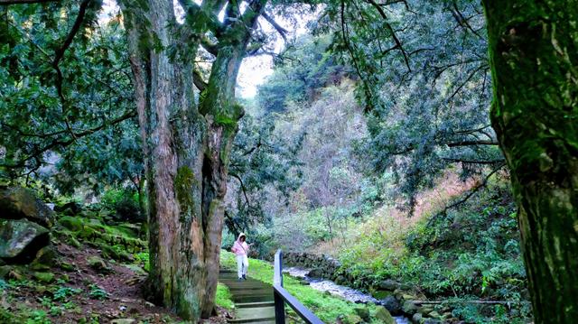 小城市也有好风光诸暨,诸暨在绍兴是一个怎么样的存在