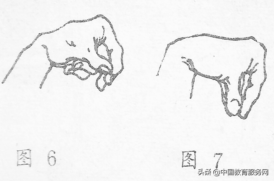 少林基本功训练大全,少林基本功的练法