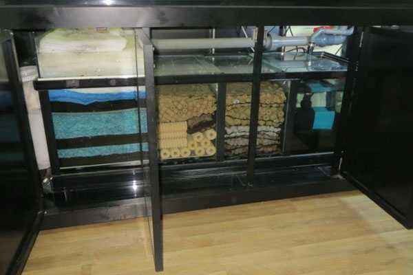 出差三五天小鱼缸里的鱼怎么办,假期出行鱼缸里的鱼怎么办