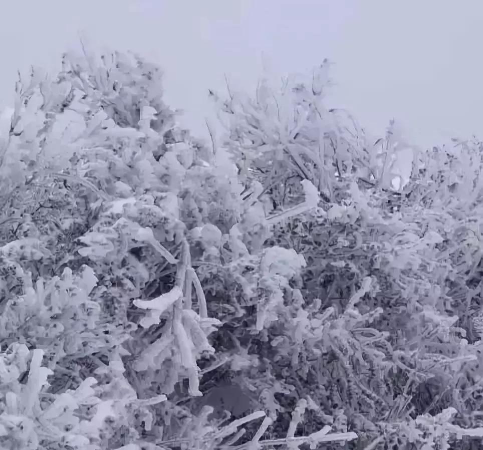 河南省春节旅游免门票景区 (春节河南6大景区半价)
