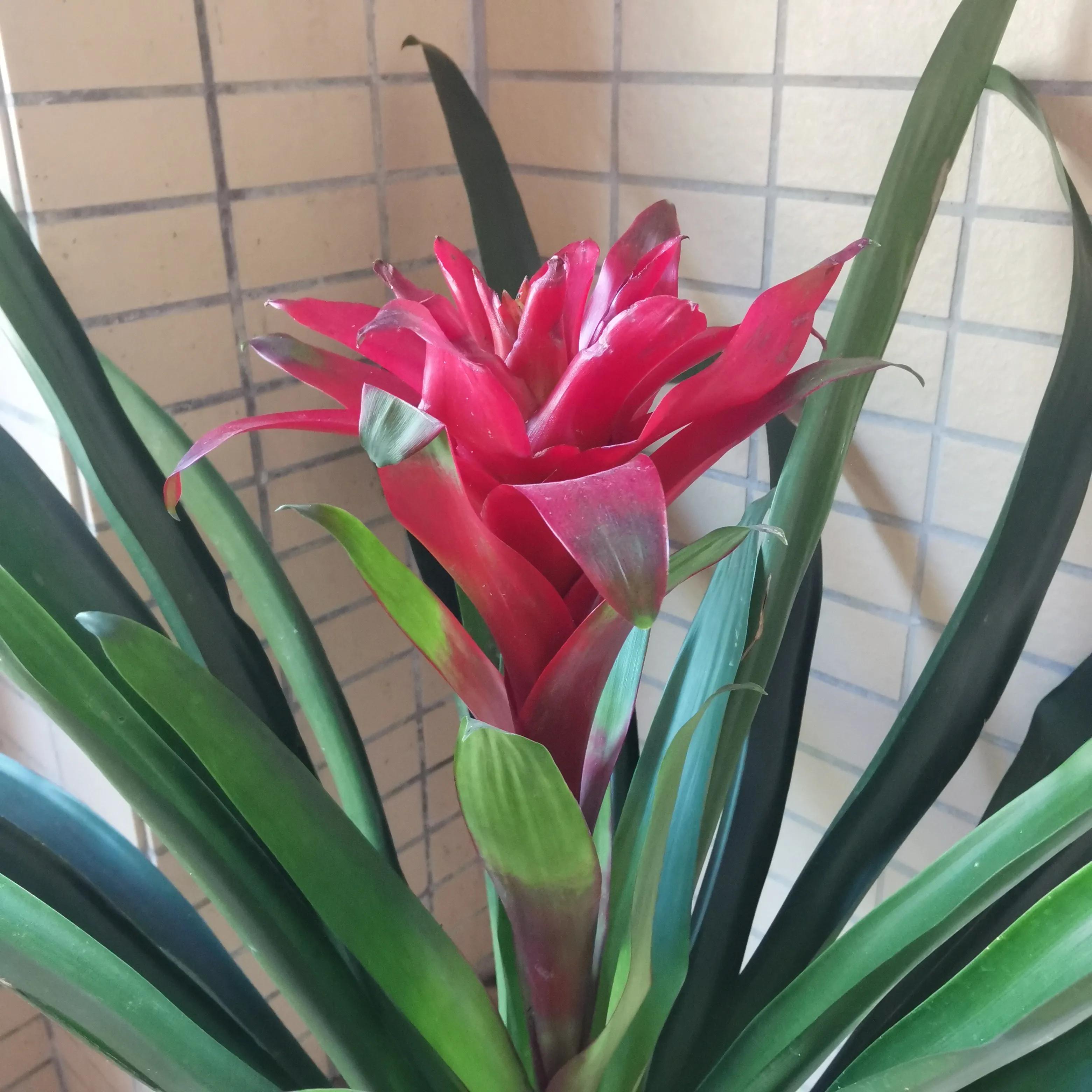 保持个性活出自我,做人要靠自己经典语录