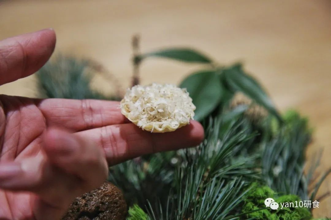 趁没红前，先试为敬，北欧风，法餐调，本土食材演绎的新派中餐