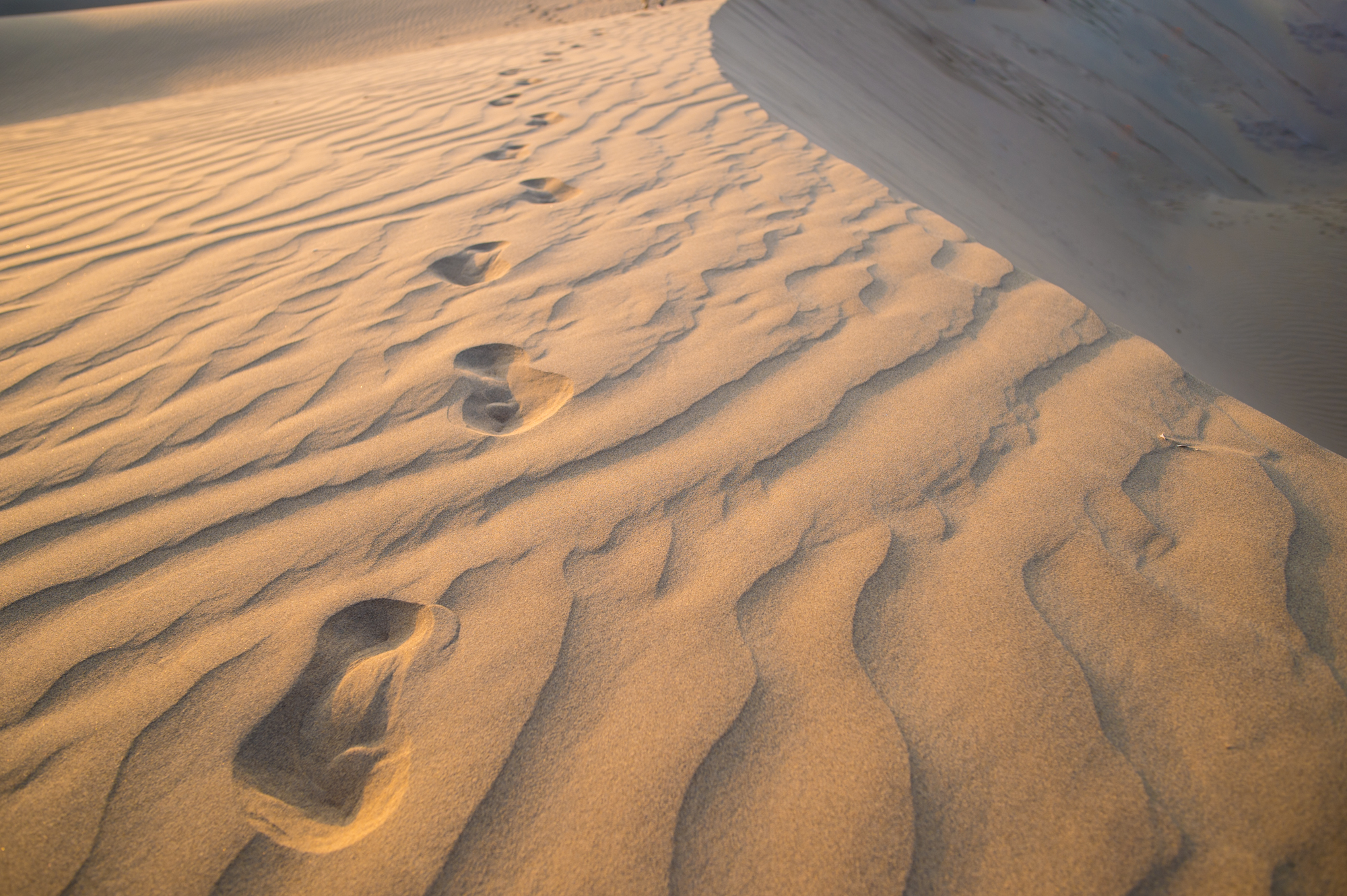 沙漠旅行会遇到的问题,去沙漠旅游可以乱跑吗