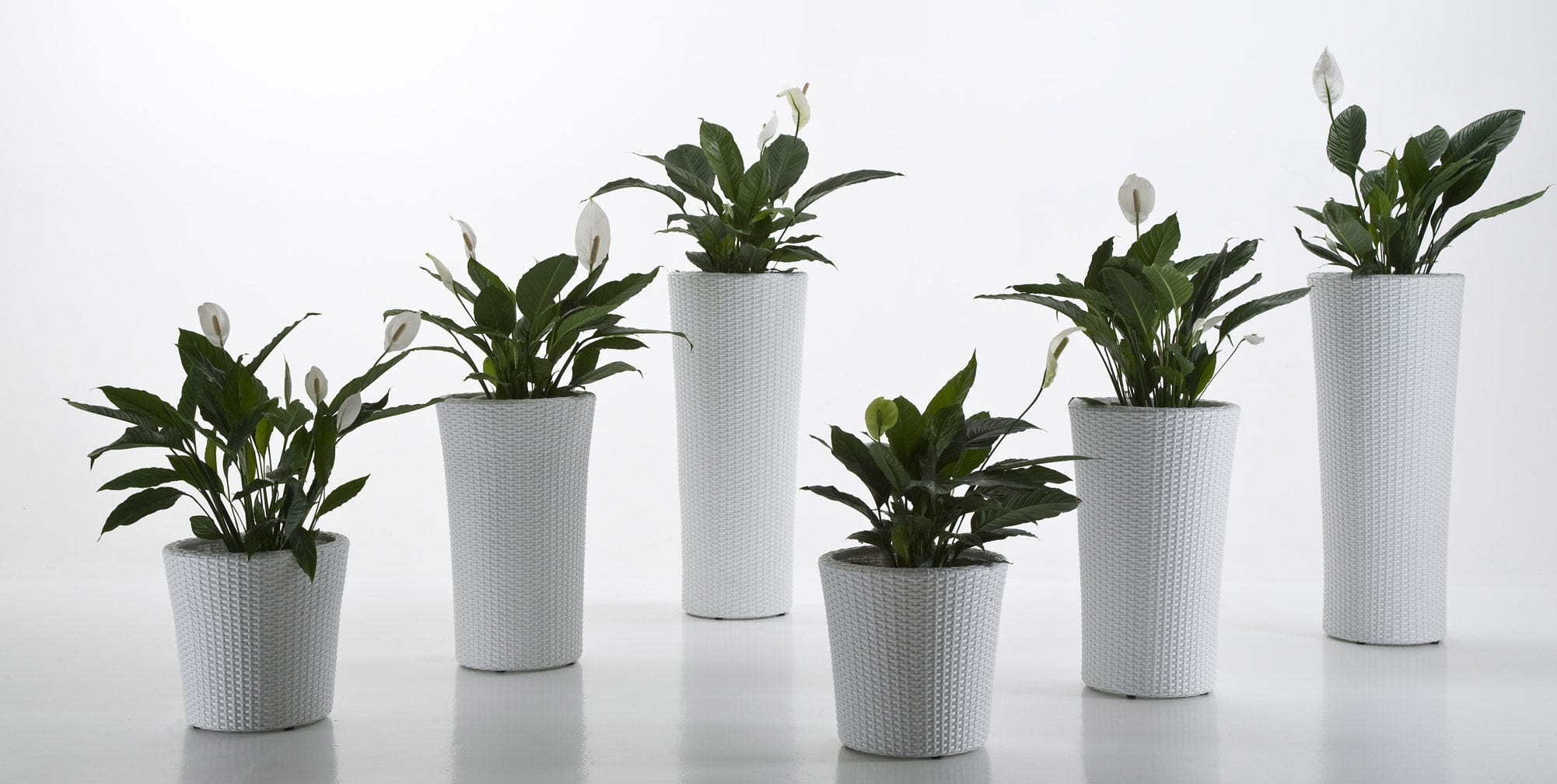 期货聚乙烯最新消息,期货品种详解