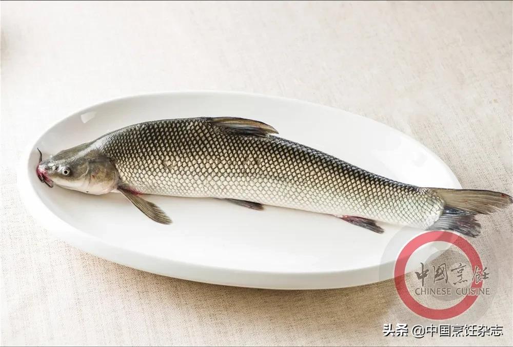 拒绝野味有哪些点,关于拒绝野味的小知识