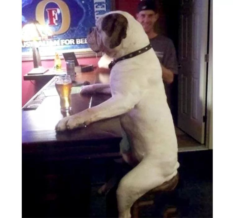 浓茶解酒最不靠谱的解酒方法,喝茶解酒的小妙招