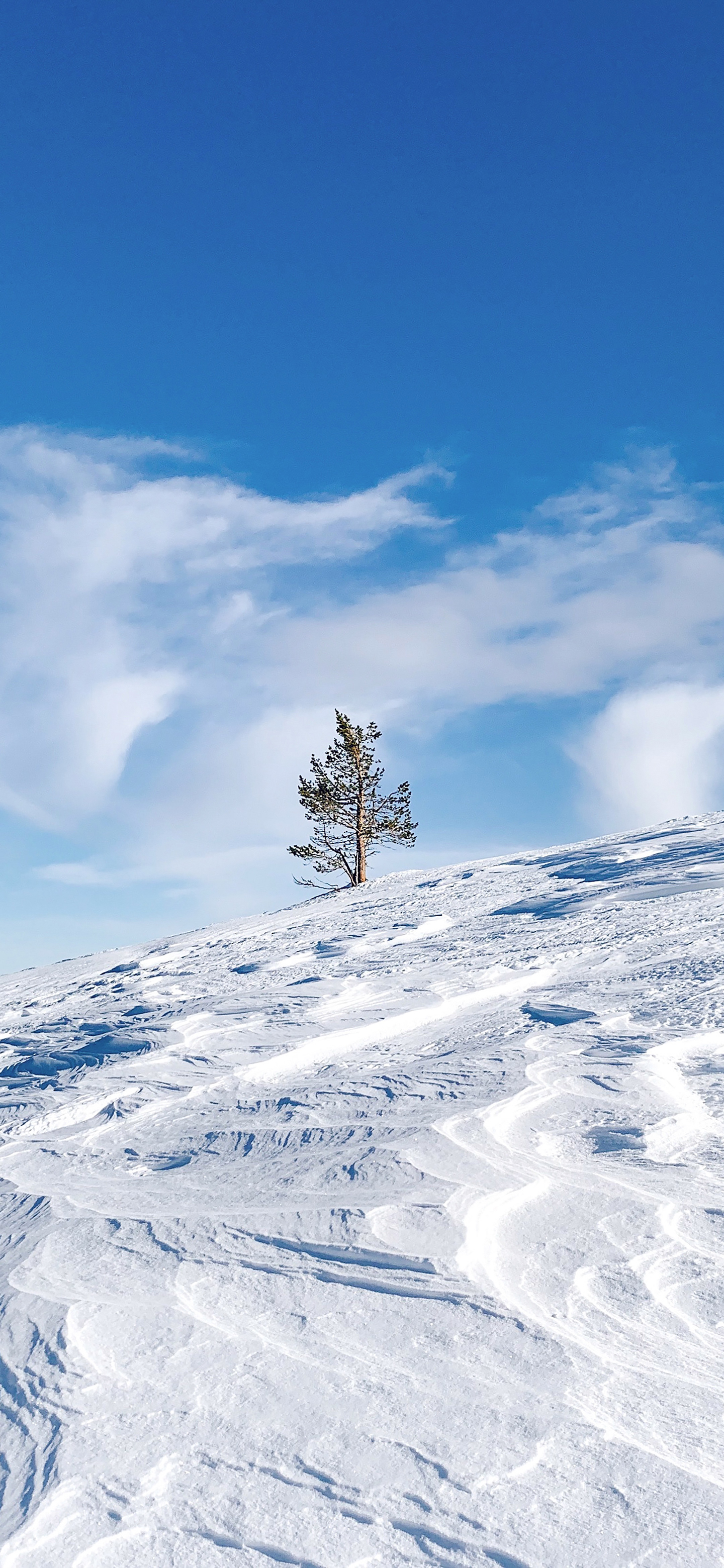最清爽的风景图片高清壁纸,绿色清新风景高清壁纸