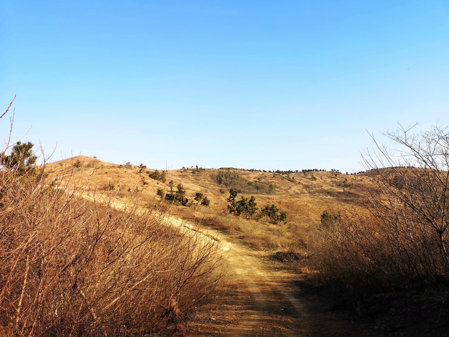 摩托周边旮旯游——探访蚌埠李楼鲁山寺遗址（上）